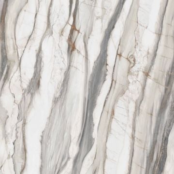 Gresie Oyster White Mat 120x120 cm