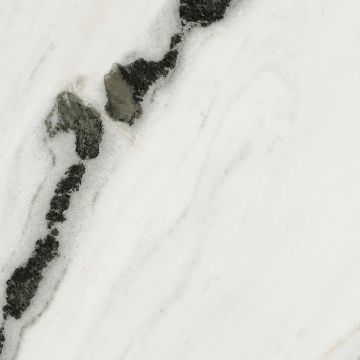 Gresie Panda White Lucios 60x60 cm