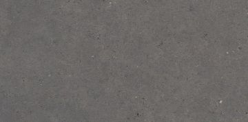 Gresie de exterior Silver Grain Dark Antislip 60x120x2 cm