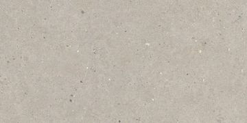 Gresie de exterior Silver Grain Taupe Antislip 60x120x2 cm