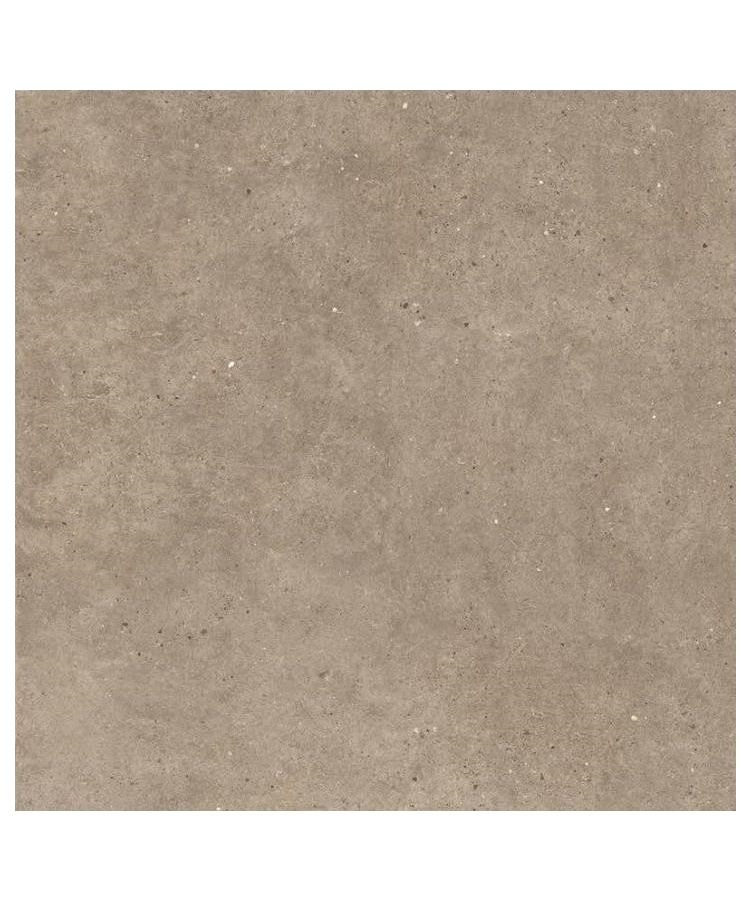Gresie Silver Grain Taupe mat 60x60 cm