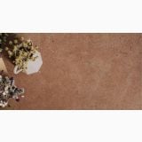 Gresie Portelanata DUO Back Cotto Mat 60x120 cm – textura gresie teracota cu flori uscate decorative