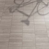 Gresie ABK LAB325 Form Ash Mat 120x120 cm – ambient, pardoseala gresie gri cu umbre de crengi proiectate