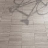 Gresie ABK LAB325 Form Ash Mat 30x120 cm – detaliu, pardoseala gri cu umbre de plante proiectate