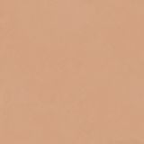 Gresie Bioterre HBE 06 Terra 120x120 cm