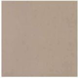 Gresie de Exterior Nuances Cipria 80x80x2 cm