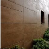Gresie Concrete Beige 4.8 30x60 cm – ambient exterior, fatada exterioara placata cu gresie maro, langa plante verzi, pe perete