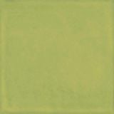 Gresie Vita Verde Lucios 20x20 cm