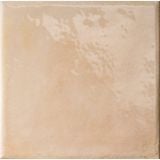 Gresie Manufatti MI 06 Pesca Lucios 20x20 cm