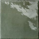 Gresie Manufatti MI 22 Sottobosco Lucios 20x20 cm