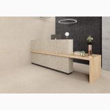 Gresie Flodsten Artic Mat 60x60 cm – ambient comercial, receptie moderna cu birou piatra si lemn, plante, pe pardoseala