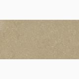 Gresie Exterior Wild Beige AntiSlip 60x120x2 cm