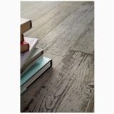 Treapta Blendart Grey 33x120cm – detaliu, gresie imitatie lemn cu carti asezate deasupra