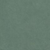 Gresie Portelanata Piemme Homey Sage 60x60 cm Mat