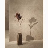 Gresie Stone Edition HSE 1 Pietra di Borgogna 60x120cm – ambient, vaza cu plante uscate langa perete texturat gresie