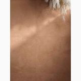 Gresie Timeline HTL 6 Canyon 30x60 cm – detaliu, perete gresie cu umbre si crengute decorative albe