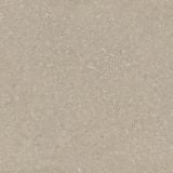 Gresie Wild HWD 11 Oyster 60x60 cm