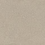 Gresie Wild HWD 11 Oyster 120x120 cm
