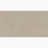 Gresie Wild HWD 211 Oyster 60x120x2 cm – placa gresie texturata gri-bej, fundal izolat