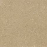 Gresie Wild HWD 1 Amber 60x60 cm