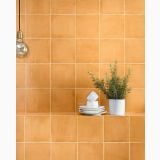 Gresie Vita Arancione Lucios 20x20 cm – ambient bucatarie, perete portocaliu lucios cu raft, planta si veselă