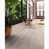 Gresie Timewood Grey 20x120 cm – ambient living, living luminos cu plante, fotolii si pardoseala gri lemn
