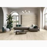 Gresie Imitatie Lemn Allure Rovere Blanc Mat 20x120 cm – ambient living, living modern cu canapea gri si plante verzi, pe pardoseala
