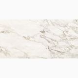 Gresie Calacatta Gold Lucios 60x120 cm