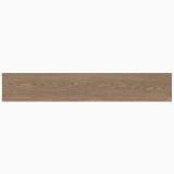 Gresie Imitatie Lemn Poetry Wood Oak 20x120 cm