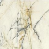 Gresie Portelanata HPM 10 Paonazzo Lucios 120x120 cm