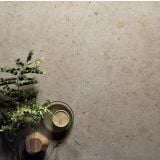 Gresie Poetry Stone Pirenei Ecru 60x60 cm – detaliu, textura gresie ecru cu plante si obiecte decorative