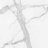 Gresie Portelanata Anima White Lucios 60X60 cm