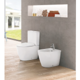 Vas WC Coral cu Rezervor din Ceramica si Capac Soft-close – ambient baie, vas wc si bideu alb, perete gri, pardoseala lemn
