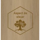 Parchet SPC Itiles GRIGIO CLASSICO 1220 x 182 x 6 mm – logo texturat cu copac si text aspect stejar