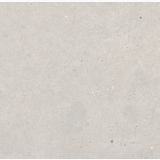 Gresie de exterior Silver Grain Grey Antislip 60x60x2 cm