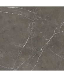 Gresie Stone Grey Lucios 120x120 cm