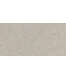 Gresie de exterior Silver Grain Taupe Antislip 60x120x2 cm