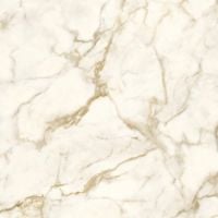 Gresie porțelanată DelConca Macchia Vecchia Shine 120x120 cm