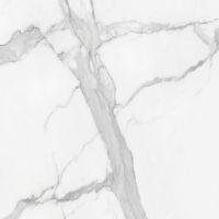 Gresie Portelanata Anima White Lucios 60X60 cm