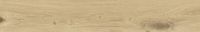 Gresie Portelanata iTiles Wood Line Nocciola 20x120 cm