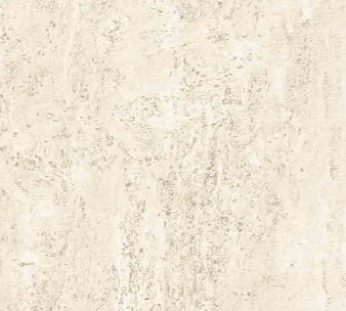 Gresie I Travertini Bianco Cross Cut 120x120 cm