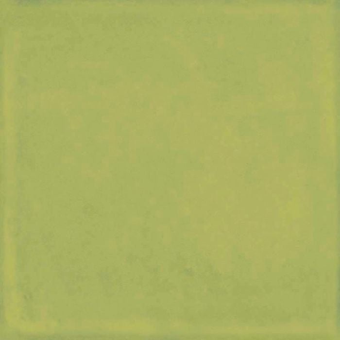 Gresie Vita Verde Lucios 20x20 cm