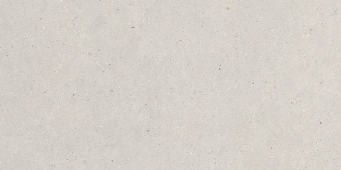 Gresie Silver Grain Grey Mat 60x120 cm