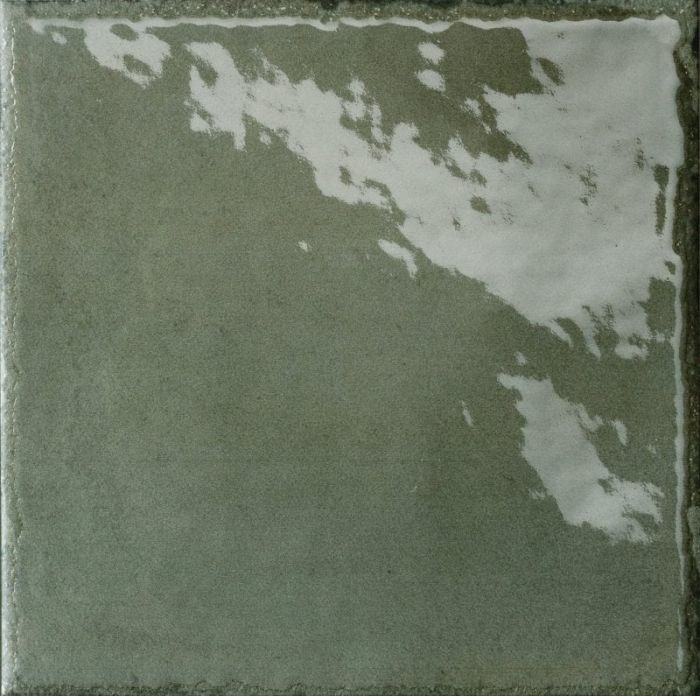 Gresie Manufatti MI 22 Sottobosco Lucios 20x20 cm