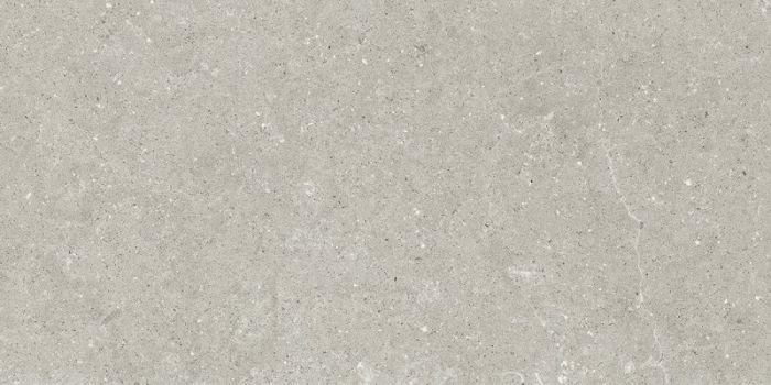 Gresie Exterior Wild Grey 60x120x2 cm