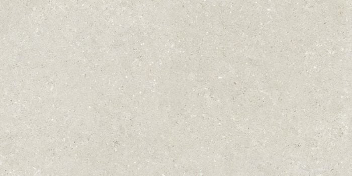 Gresie Exterior Wild White 60x120x2 cm