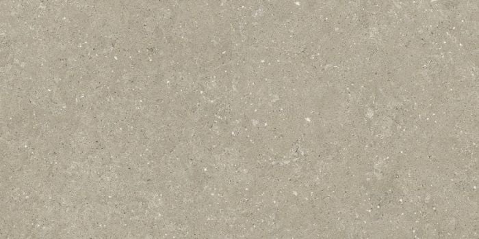 Gresie Exterior Del Conca HWD Greige 60x120x2 cm