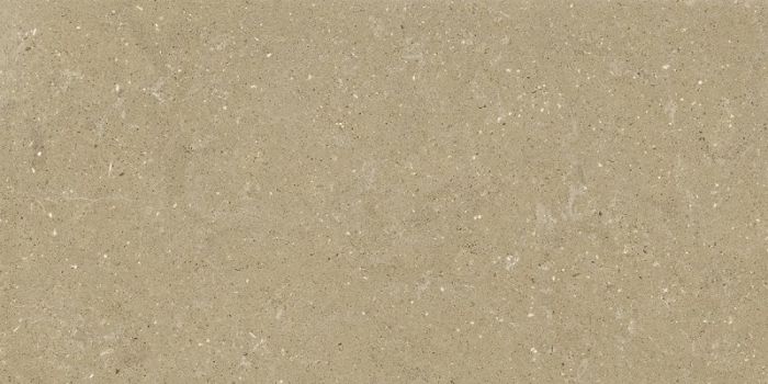Gresie Exterior Wild Beige AntiSlip 60x120x2 cm