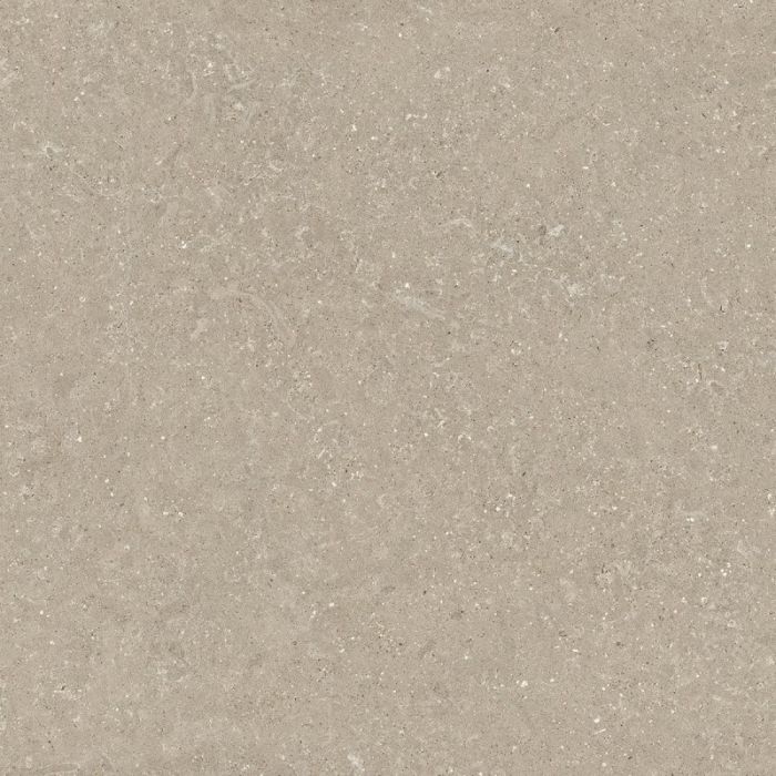 Gresie Wild HWD 11 Oyster 60x60 cm