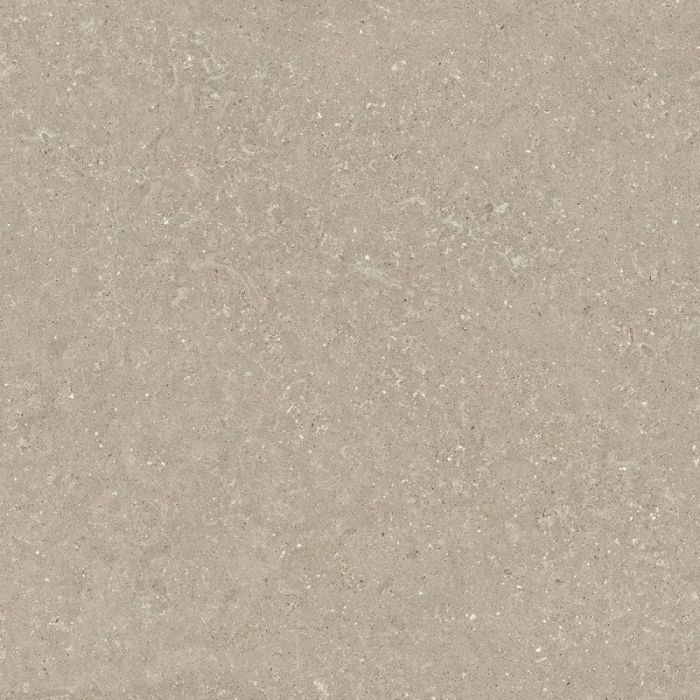 Gresie Wild HWD 11 Oyster 120x120 cm